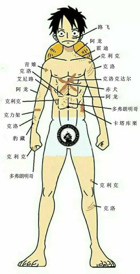 路飞身上的伤疤